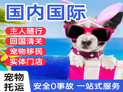 格尔木机场快运国际宠物托运 【国